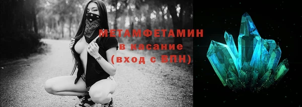 прущие грибы Абаза