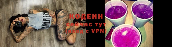 прущие грибы Абаза
