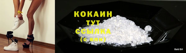 прущие грибы Абаза