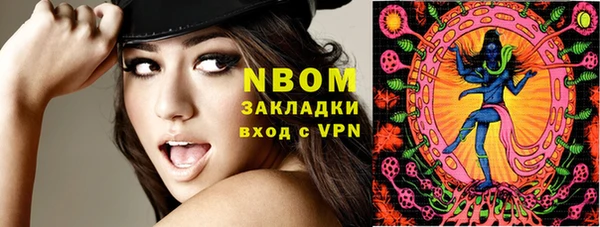 прущие грибы Абаза
