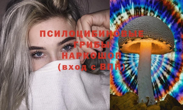 прущие грибы Абаза