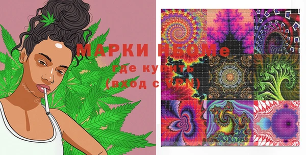 прущие грибы Абаза